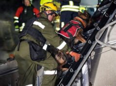 Ukrainian married couple aged 75 killed in Russian attack on Odesa | Russia-Ukraine war News