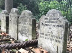 Opinion: ‘Until we meet again, brave little cat.’ The heartbreak and taboo of burying our pets